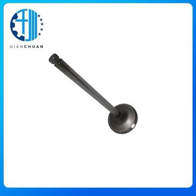 ISC/QSC 8.3L 8.9L Cummins Diesel Engine Intake Valve 3924492 3802463