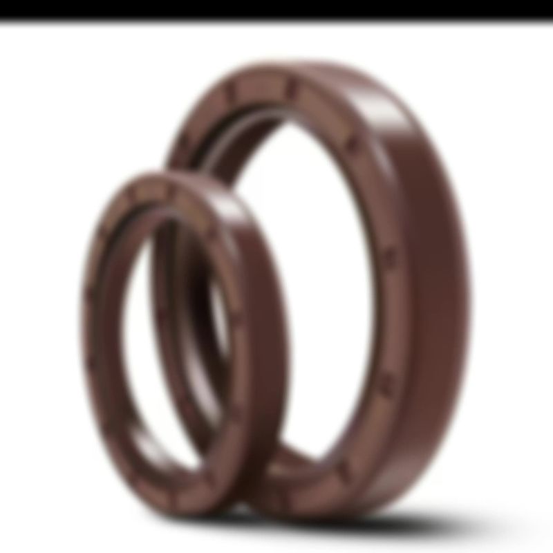TC SC TCN TCV Standard Nonstandard NBR FKM Shaft Oil Seal Skeleton Seal